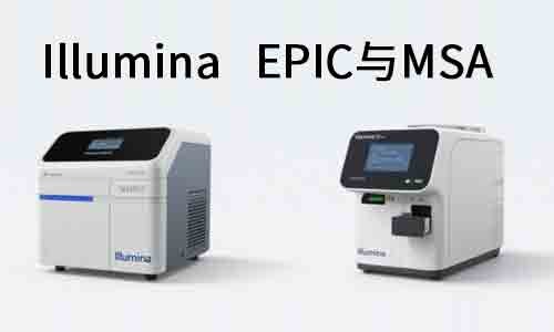 甲基化芯片平臺怎么選？Illumina EPIC 與 MSA 的全面對比與應(yīng)用指南