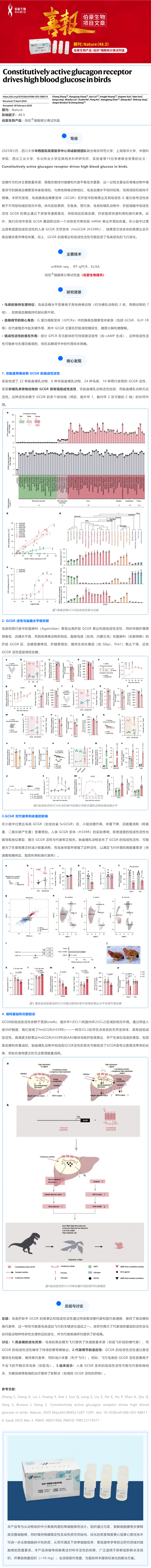 Nature 主刊項目文章 | 組成型活性胰高血糖素受體驅(qū)動鳥類高血糖