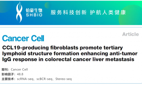 文獻解讀 | 產(chǎn)生 CCL19 的成纖維細胞促進三級淋巴結(jié)構(gòu)形成并增強結(jié)直腸癌肝轉(zhuǎn)移中的抗腫瘤 IgG 反應(yīng)