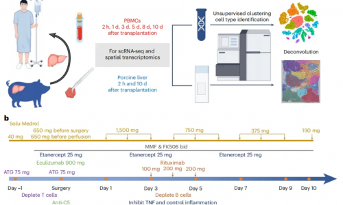 八月高分文獻(xiàn)速遞 | 空間轉(zhuǎn)錄組系列
