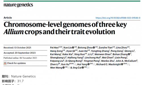 文獻(xiàn)解讀︱三種主要蔥屬作物的染色體水平基因組及其性狀進(jìn)化