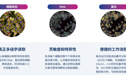 5D 原位多組學(xué) AVITI24 靶向 panel——MAPK 細(xì)胞周期 / 細(xì)胞凋亡信號通路 panel