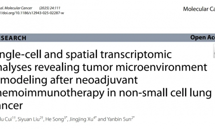 文獻(xiàn)解讀 | 單細(xì)胞和空間轉(zhuǎn)錄組學(xué)分析揭示了非小細(xì)胞肺癌新輔助化療免疫治療后腫瘤微環(huán)境重塑