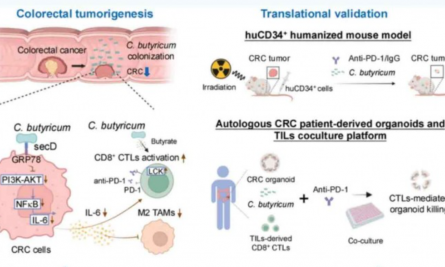 2025 頂刊文獻(xiàn)速遞 | 單細(xì)胞轉(zhuǎn)錄組系列（8 月）