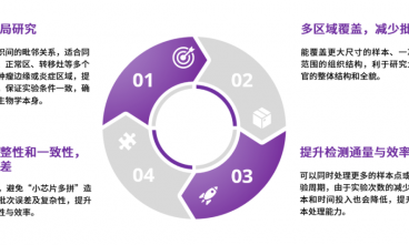 大尺寸 + 高精度雙引擎！時(shí)空轉(zhuǎn)錄組大尺寸芯片如何掀起科研效率革命？