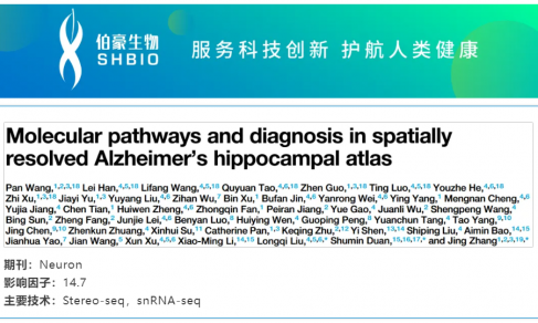 文獻(xiàn)解讀 | 阿爾茨海默癥患者海馬體的單細(xì)胞空間轉(zhuǎn)錄組圖譜揭示分子通路及診斷新靶點(diǎn)