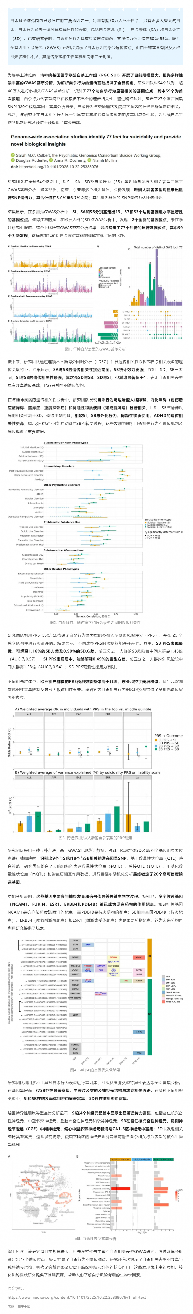 77 個自殺相關(guān)遺傳位點被發(fā)現(xiàn)！迄今最大規(guī)模多祖先 GWAS 揭示自殺行為遺傳基礎(chǔ)及生物學機制