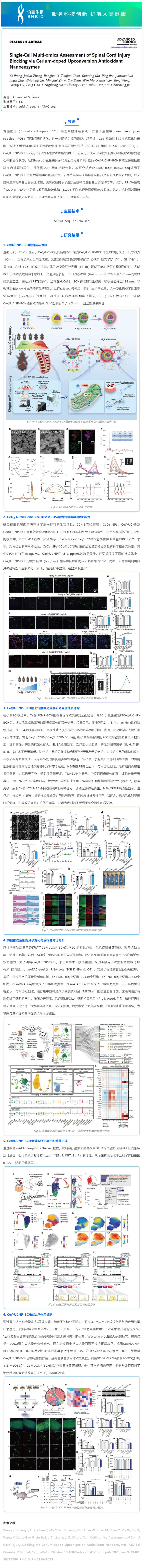 文獻(xiàn)解讀 | 通過鈰摻雜上轉(zhuǎn)換抗氧化納米酶阻斷脊髓損傷的單細(xì)胞多組學(xué)評估