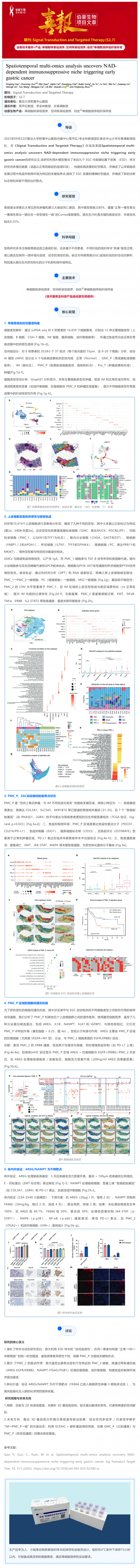 時(shí)空組學(xué)項(xiàng)目文章 _ 時(shí)空多組學(xué)揭示 NAD 依賴的免疫抑制微環(huán)境驅(qū)動(dòng)早期胃癌發(fā)生