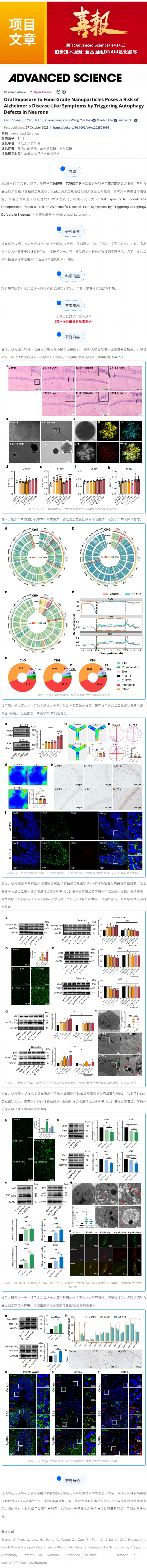 項目文章 _ 全基因組 DNA 甲基化測序揭示食品級納米顆粒通過引發(fā)神經(jīng)元自噬缺陷導致阿爾茨海默病樣癥狀
