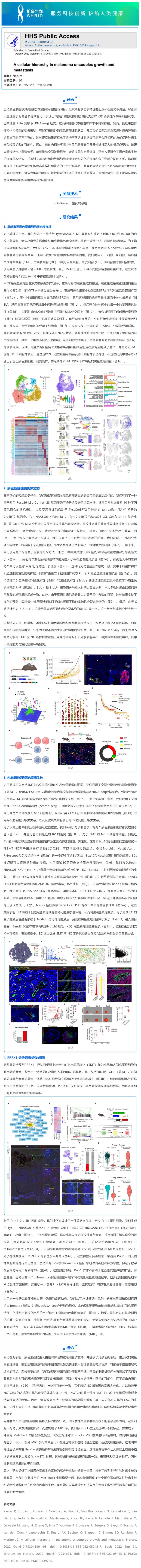 2- 2 文獻(xiàn)解讀 | 黑色素瘤的細(xì)胞層次結(jié)構(gòu)使生長和轉(zhuǎn)移分離