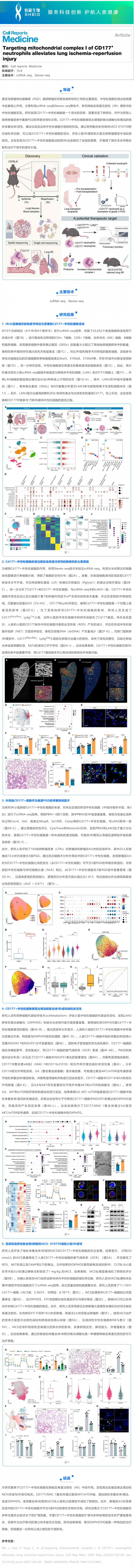 文獻(xiàn)解讀 | 靶向 CD177+ 中性粒細(xì)胞的線粒體復(fù)合物 I 可緩解肺缺血再灌注損傷