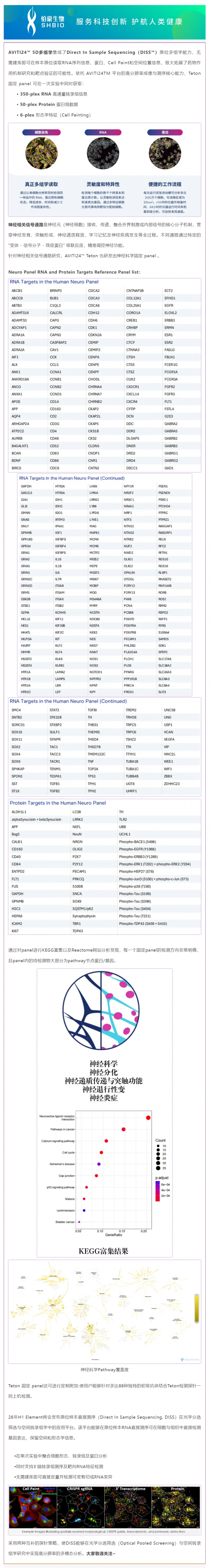 5D 原位多組學(xué) AVITI24 靶向 panel——神經(jīng)科學(xué)