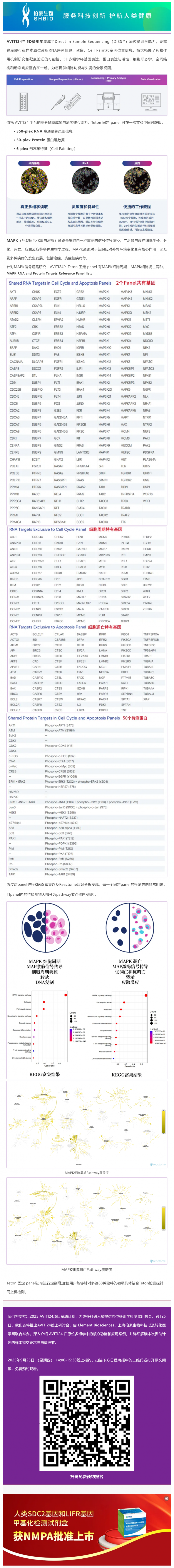 5D 原位多組學(xué) AVITI24 靶向 panel——MAPK 細(xì)胞周期_細(xì)胞凋亡信號(hào)通路 panel