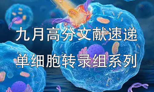 2025 頂刊文獻(xiàn)速遞 | 單細(xì)胞轉(zhuǎn)錄組系列（9 月）