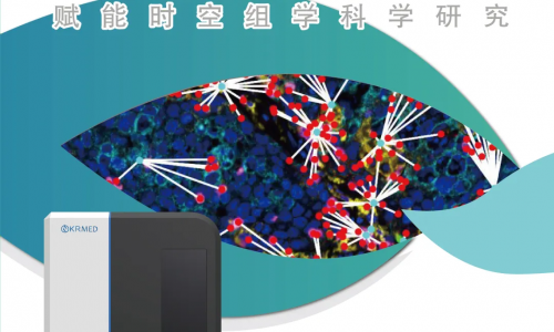 多重?zé)晒饷庖呓M化（mIHC) 賦能時(shí)空組學(xué)科學(xué)研究