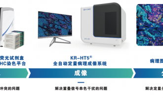 多重?zé)晒饷庖呓M化（mIHC) 賦能時(shí)空組學(xué)科學(xué)研究核心應(yīng)用場(chǎng)景