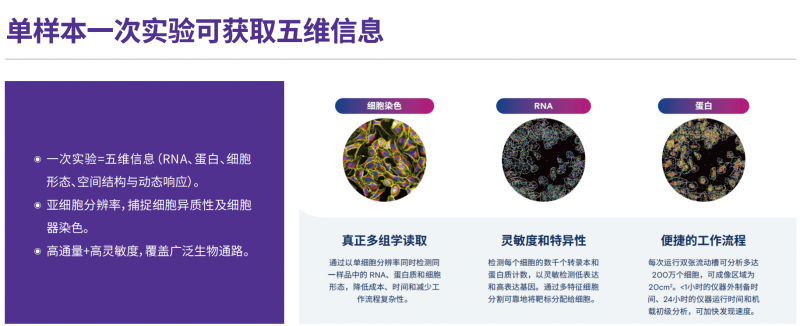 7feae44c-8cb4-41db-9f11-5bd349bc30c7