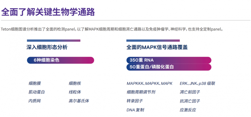 61147a9f-97c8-4bfb-9655-ae26199f12c9