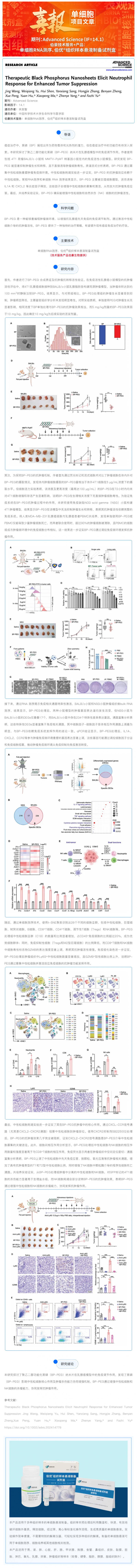 單細(xì)胞項(xiàng)目文章 _ 治療性黑磷納米片通過誘導(dǎo)中性粒細(xì)胞應(yīng)答增強(qiáng)腫瘤抑制效果