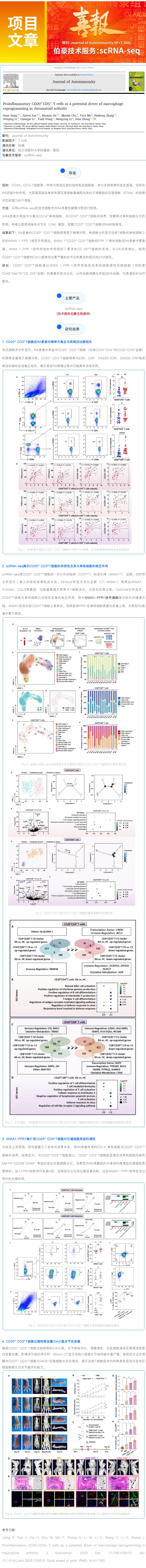 單細(xì)胞項目文章 _ 促炎性 CD20+CD3+ T 細(xì)胞是類風(fēng)濕關(guān)節(jié)炎巨噬細(xì)胞重編程的潛在驅(qū)動因素