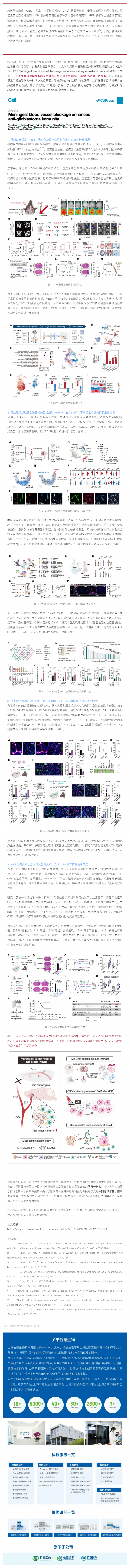 Cell 項(xiàng)目文章！中山大學(xué)張弩_北京大學(xué)白凡合作開創(chuàng)腦瘤免疫治療新策略！