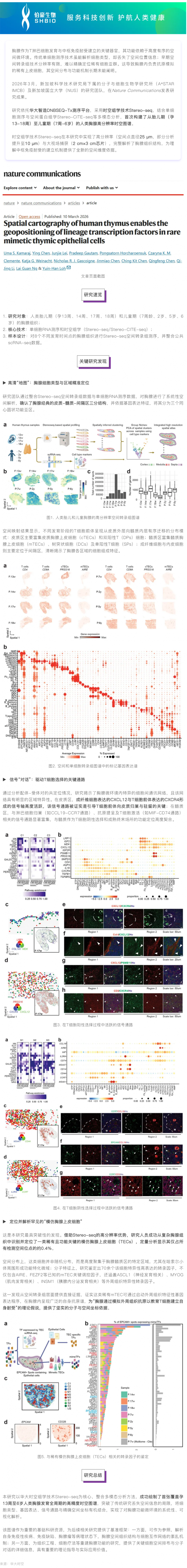 首個高分辨率人類胸腺時空圖譜！Stereo-seq 助力揭秘罕見細胞調(diào)控網(wǎng)絡(luò)