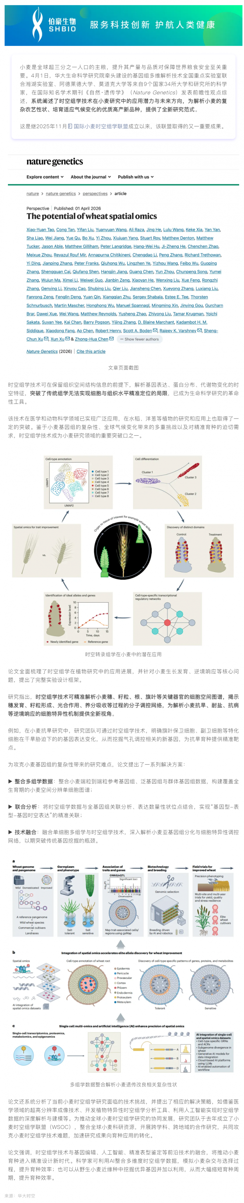 Nature Genetics _ 時空組學(xué)技術(shù)如何為小麥精準(zhǔn)育種開辟新方向？