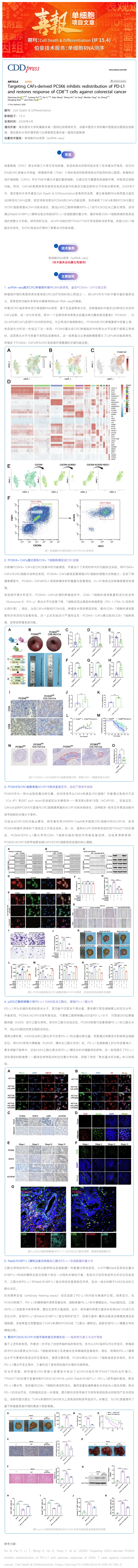 單細胞項目文章︱靶向 CAFs 來源的 PCSK6 抑制 PD-L1 膜重分布并恢復(fù) CD8+ T 細胞抗結(jié)直腸癌免疫