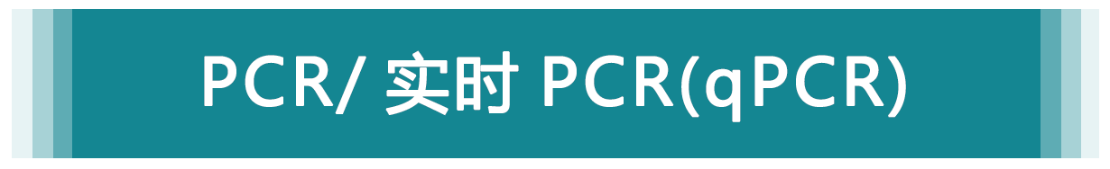 PCR/ 實時 PCR（qPCR）
